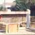 Institute of Para-Medical Sciences