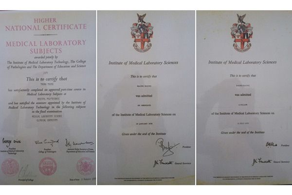 Higher National Certificate (MLS, Bristol)